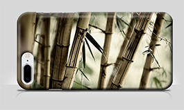  Bamboo Forest  