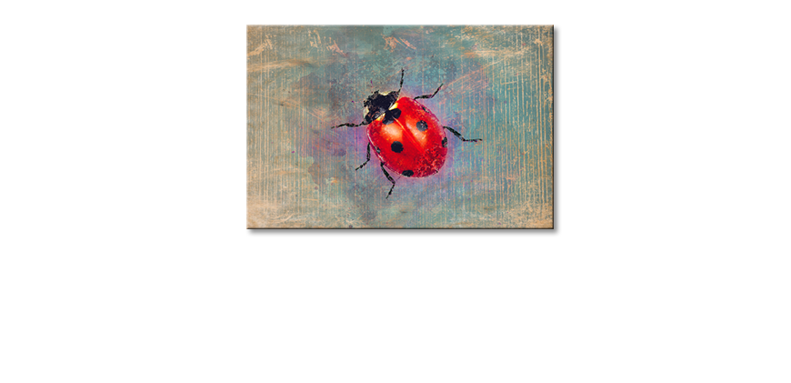 Décor-moderne-Ladybug