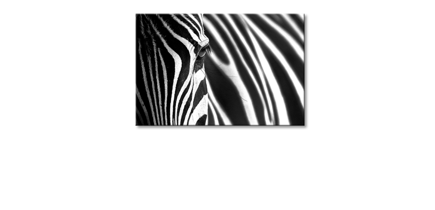 Le-tableau-imprimé-Animal-Stripes