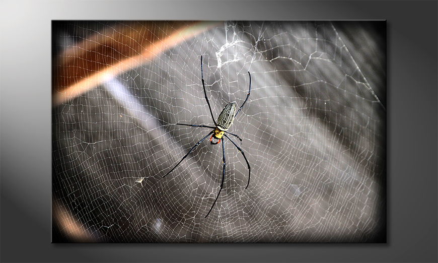 Le tableau imprimé  Beautiful Spider