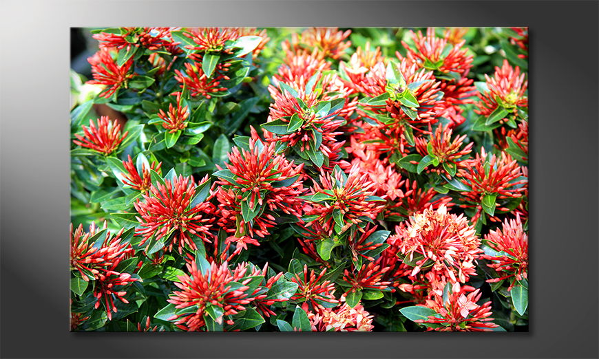Le-tableau-moderne-Red-Green-Nature