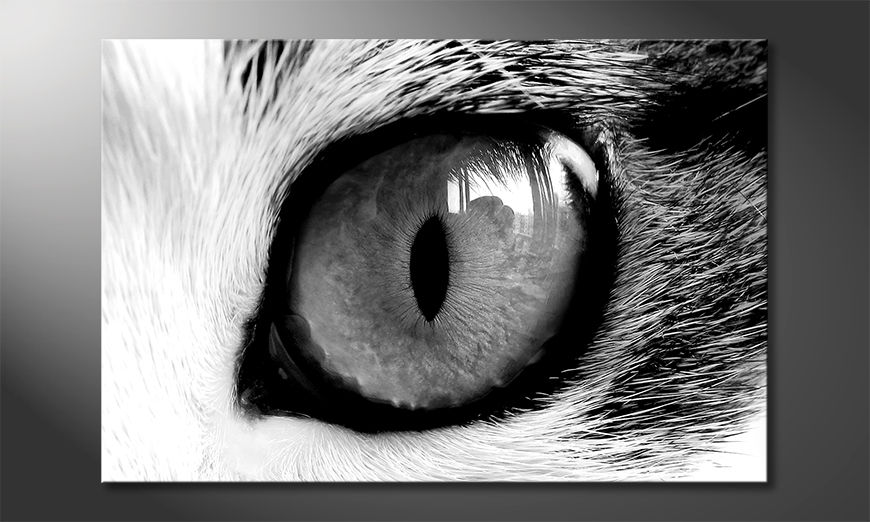 Le tableau mural Cats Eye