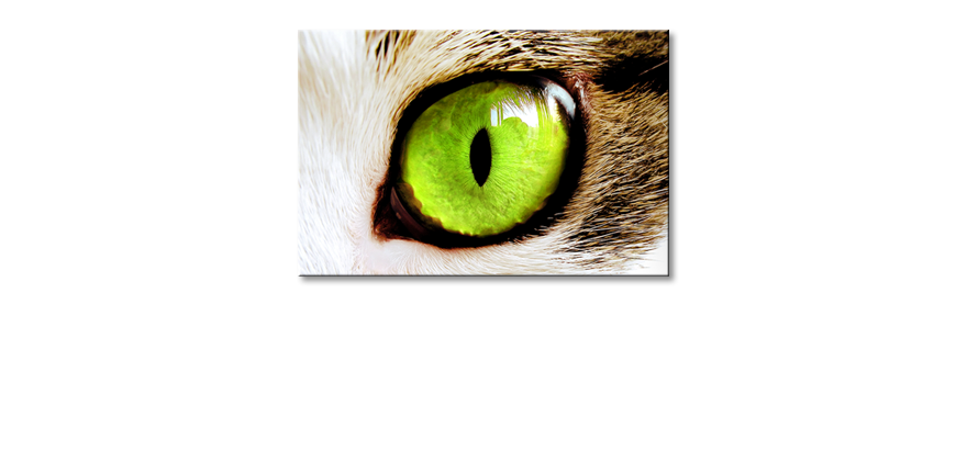 Le-tableau-mural-Cats-Eye