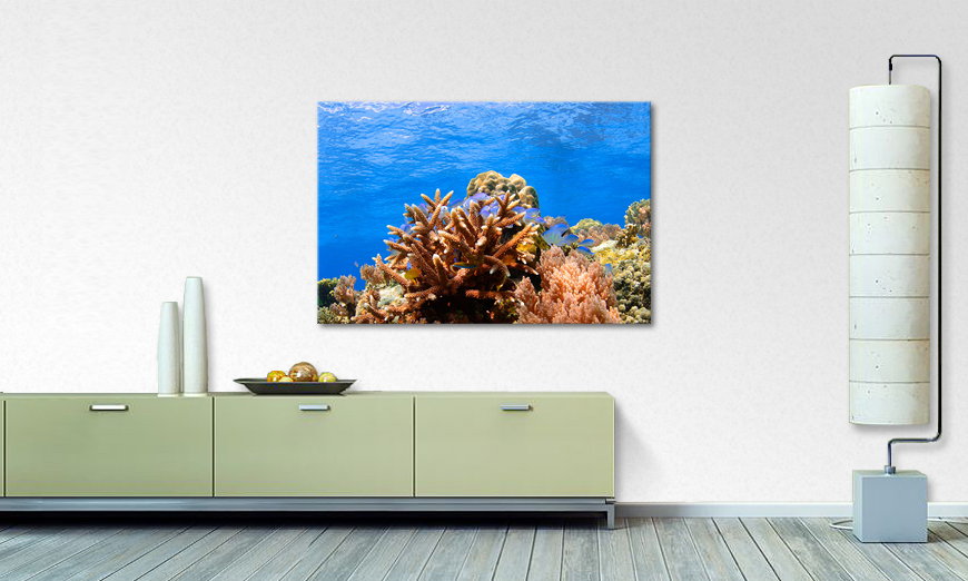 Le tableau mural Corals Reef