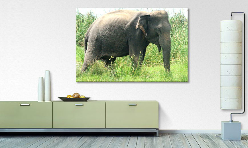 Le tableau mural Old Elephant