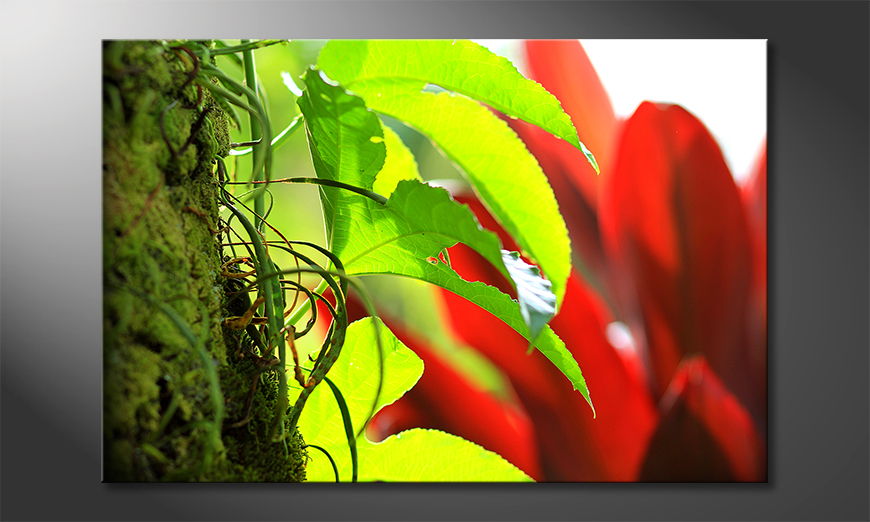 Le tableau mural Red Green Nature
