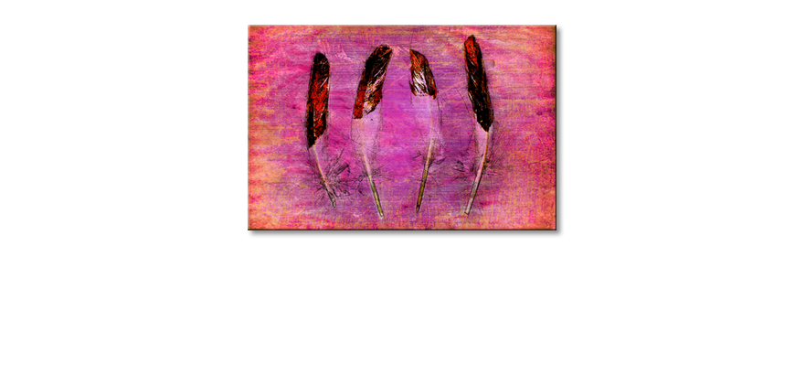 Les-tableau-imprimés-Feathers-and-Pink
