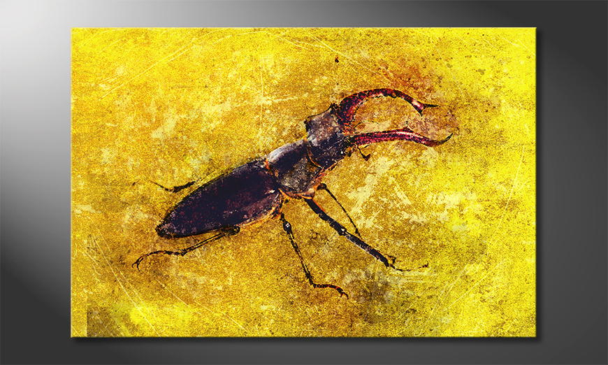 Les-tableau-imprimés-Stag-Beetle