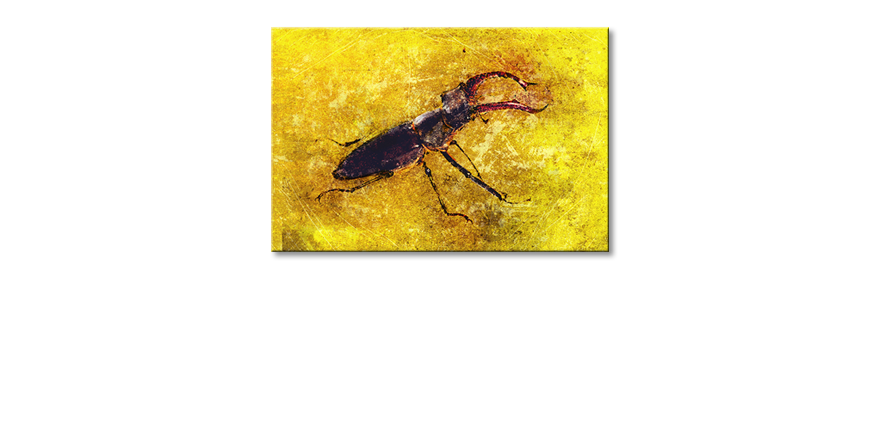 Les-tableau-imprimés-Stag-Beetle