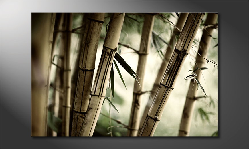 Limpression-sur-toile-Bamboo-Forest