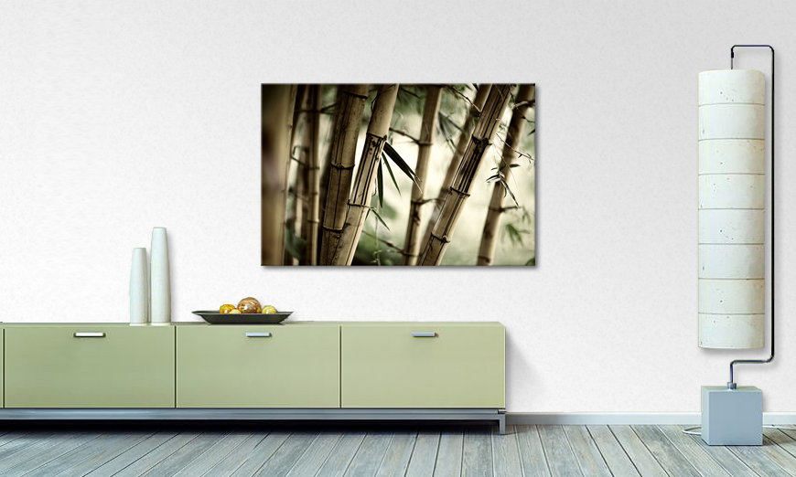 Limpression sur toile Bamboo Forest