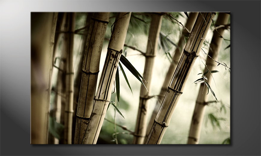 L'impression sur toile Bamboo Forest