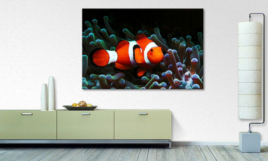 Limpression sur toile Nemo