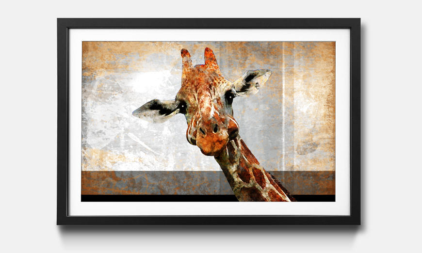 La reproduction encadrée Mr Giraffe