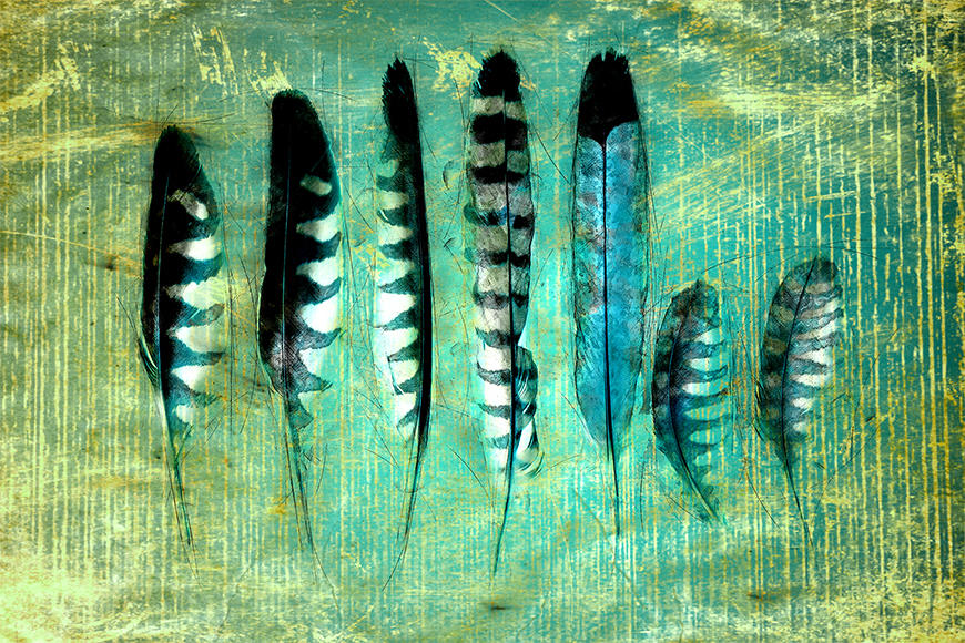 Papier peint Blue Feathers